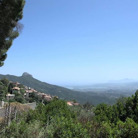 Apartmán Montecolcau Panoramic View Baunei Exteriér fotografie