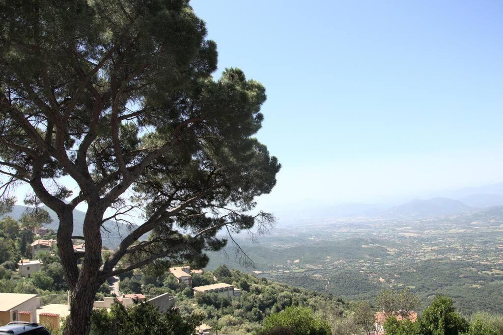 Apartmán Montecolcau Panoramic View Baunei Exteriér fotografie